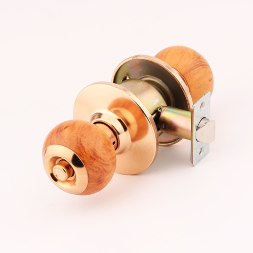 1000뉴코디 시리즈